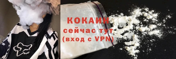 трава Гвардейск