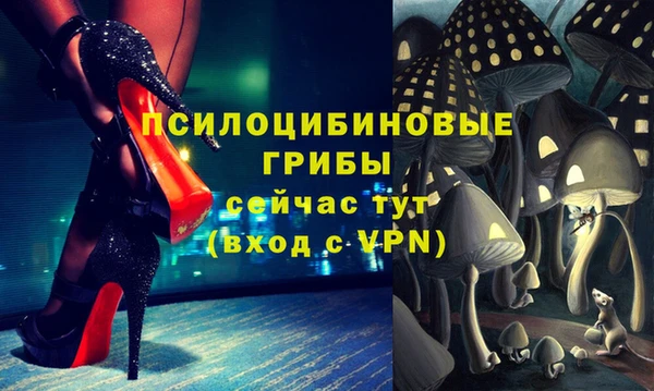 прущие грибы Новокубанск