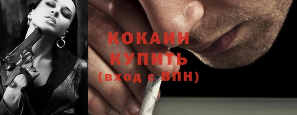прущие грибы Новокубанск