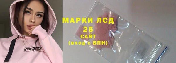 бошки Новодвинск