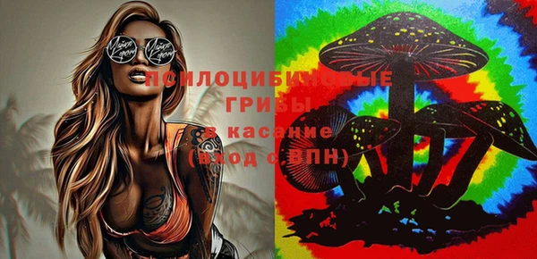 mix Новозыбков