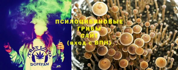 бошки Новодвинск