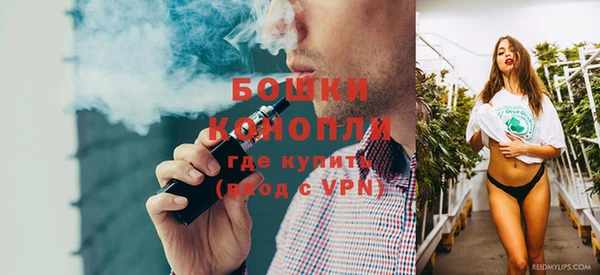 прущие грибы Гатчина