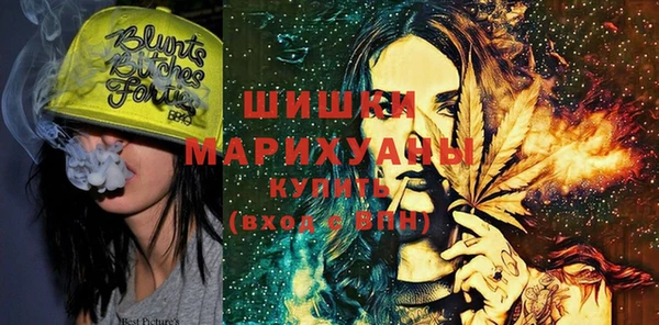 прущие грибы Новокубанск