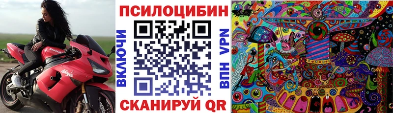 Псилоцибиновые грибы прущие грибы  Нарьян-Мар 