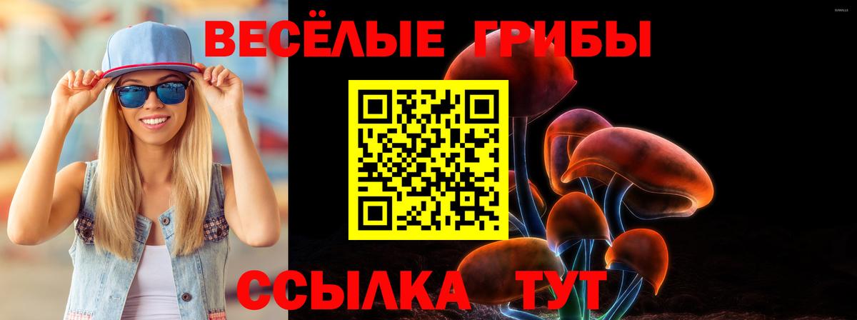 Псилоцибиновые грибы мицелий  наркошоп  Нарьян-Мар  Вход с VPN 