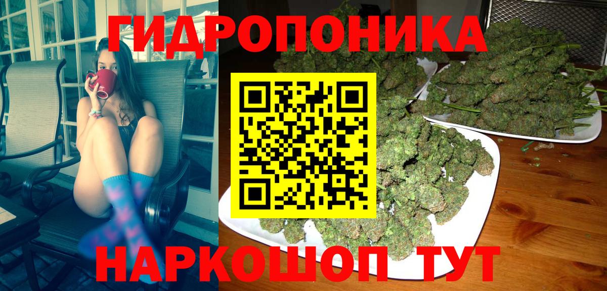 Конопля марихуана  Вход с VPN  МАРИХУАНА SATIVA & INDICA  МАРИХУАНА план  Нарьян-Мар  МАРИХУАНА конопля 